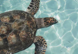 Le Yucatan autrement avec l'ATC Routes du Monde
