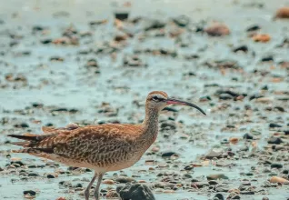 Le Yucatan autrement avec l'ATC Routes du Monde