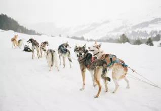 Épopée finlandaise avec l'ATC Routes du Monde