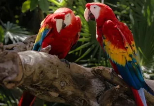 Le Yucatan autrement avec l'ATC Routes du Monde