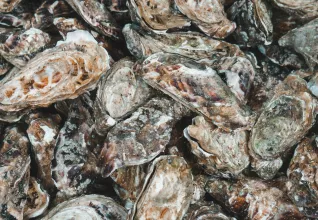 Réveillon dans le bordelais avec l'ATC Routes du Monde