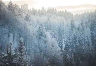 Gîte Bussang ATC Routes du Monde © Office du Tourisme Grand Est Pierre Defontaine