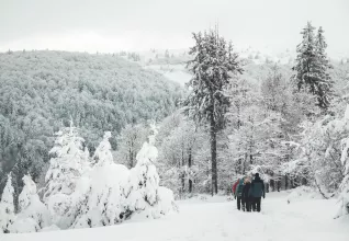 Gîte Bussang ATC Routes du Monde © Office du Tourisme Grand Est Pierre Defontaine