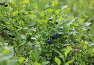 Gîte Belvezet ATC Routes du Monde © Sandy Berthomieu