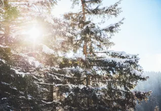 Gîte Bussang ATC Routes du Monde © Office du Tourisme Grand Est Pierre Defontaine