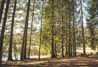 Gîte Bussang ATC Routes du Monde © Office du Tourisme Grand Est Pierre Defontaine