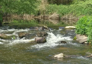 Randonnées autour de Merdrignac avec l'ATC Normandie