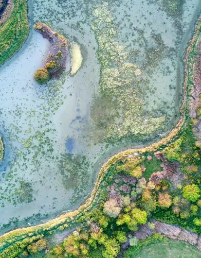 Randonnées à Pornichet, le Croisic & Guérande
