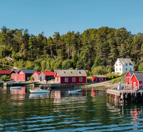 Norvège : Petit tour entre Fjords et Trolls 